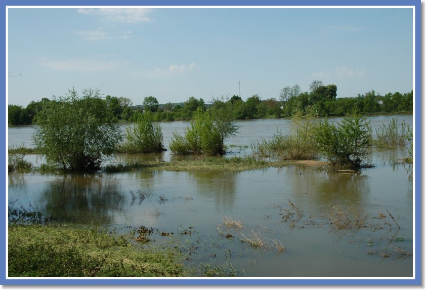 DSC_0073 Loire river