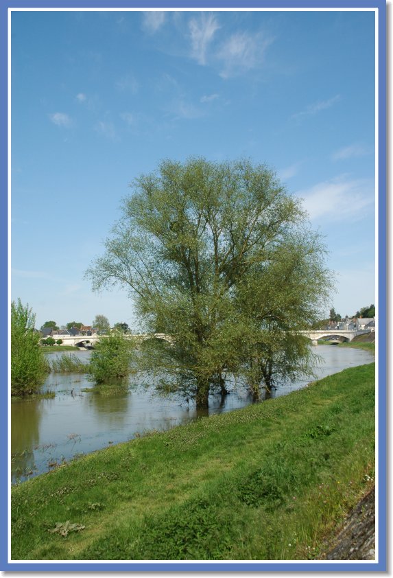 DSC_0074 Loire river
