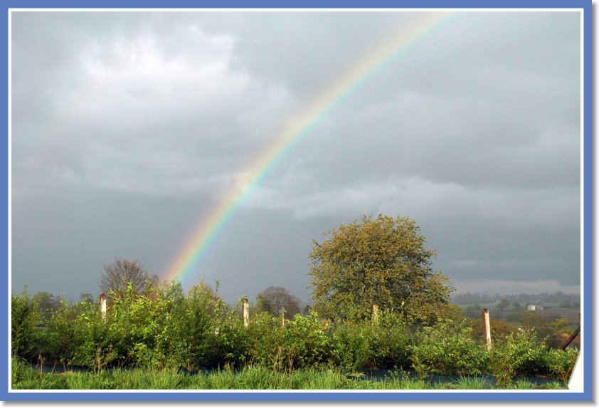 DSC_0501 Rainbow