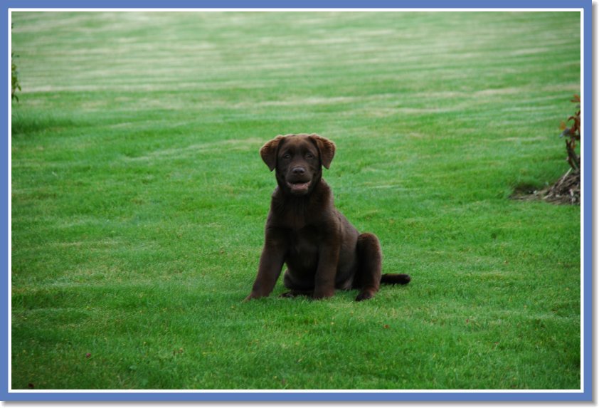 DSC_0703 Vanie - our interpreter :)