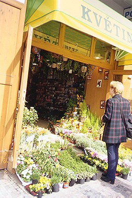 ��������� ������� � ������ �����