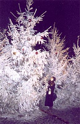 � ���� �������� ������...