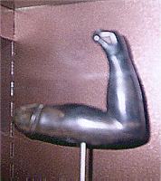 ������ ��������������