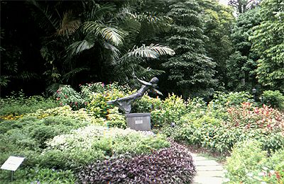 ��� � ������������ �����