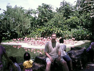 ������� �������� - ���� ������...