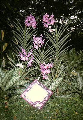 � ������ ������� - ���� �������...